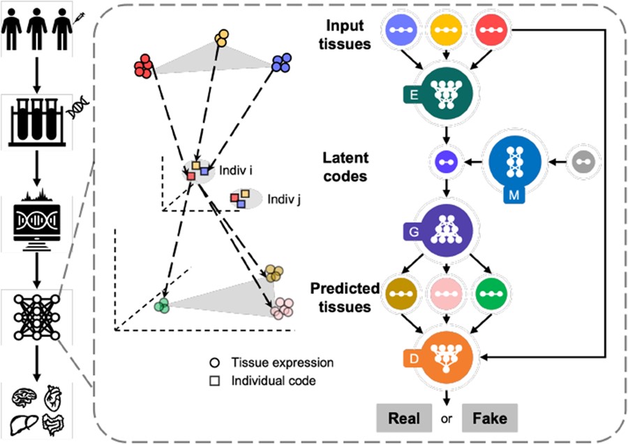 MTM overview