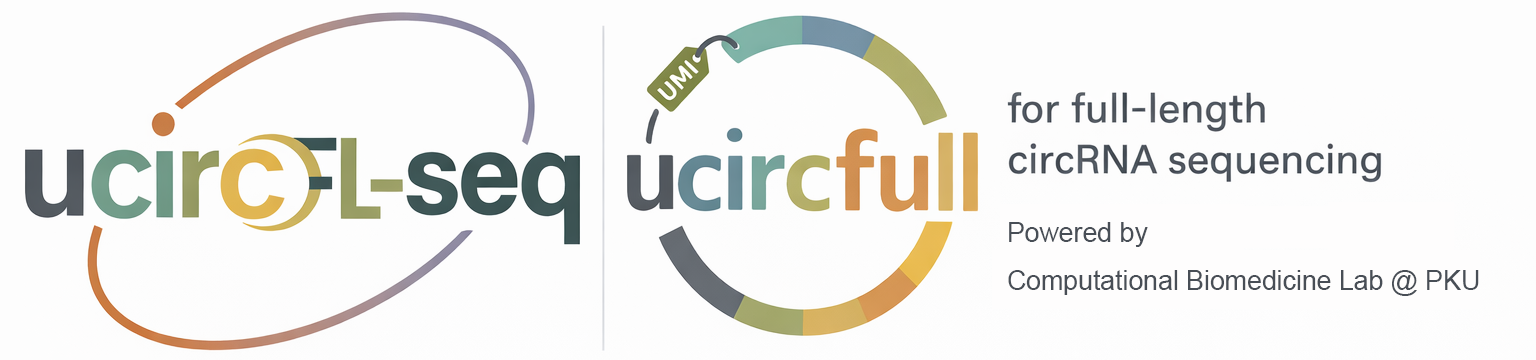 ucircFL-seq