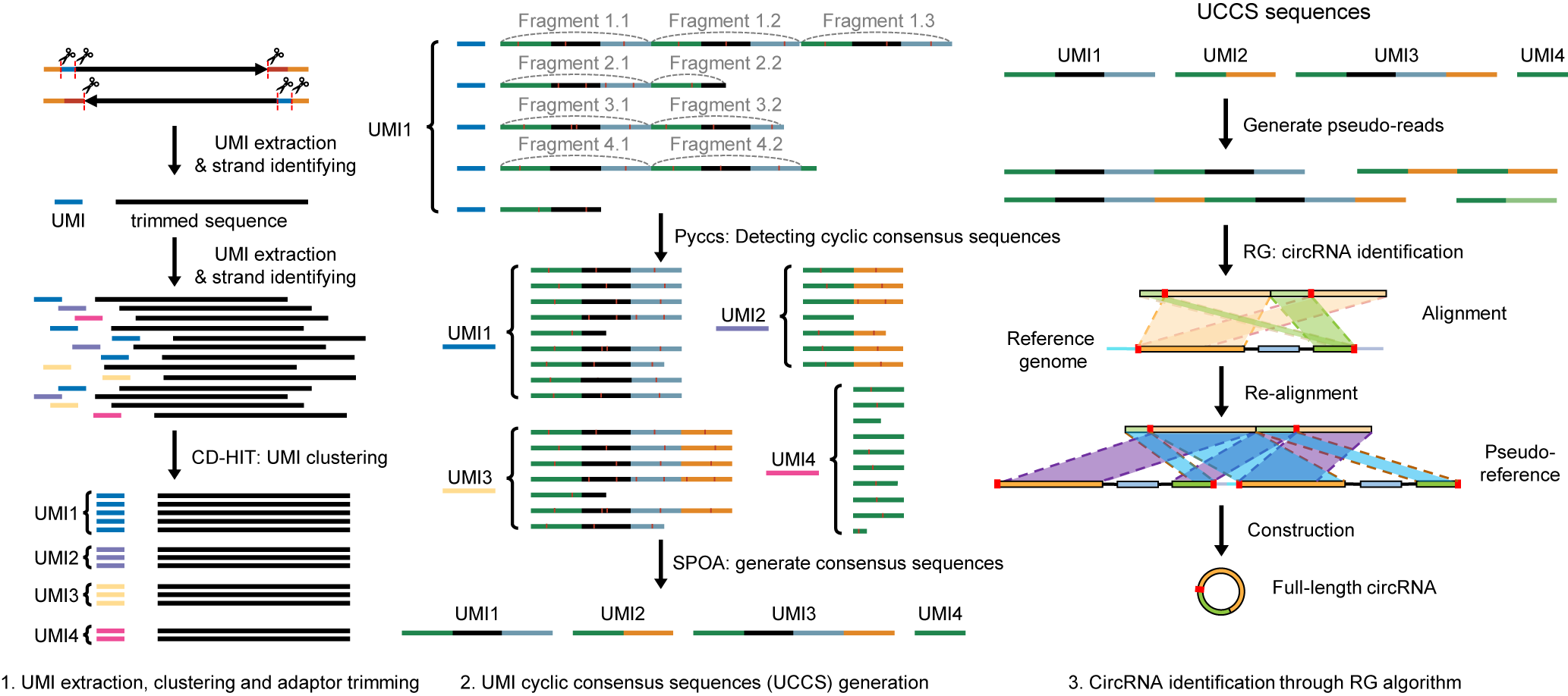 ucircfull pipeline